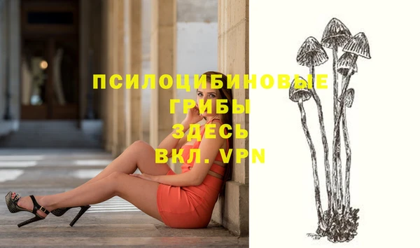 spice Сясьстрой