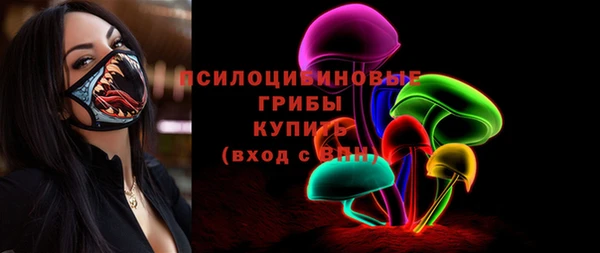 spice Сясьстрой