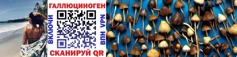 Галлюциногенные грибы MAGIC MUSHROOMS  Купить где  Махачкала 